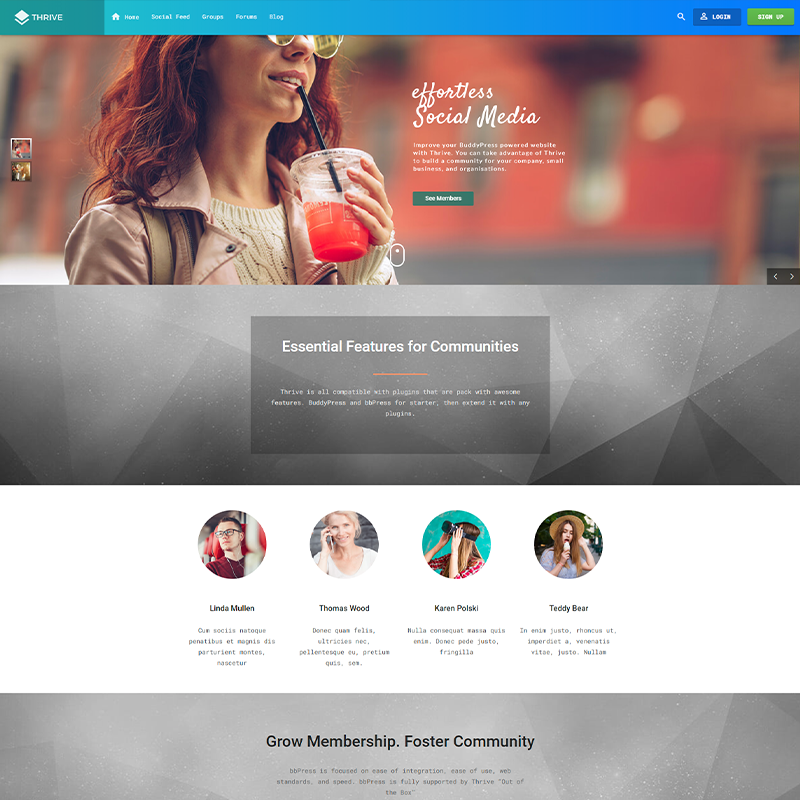 WordPress Plantilla Thrive BuddyPress