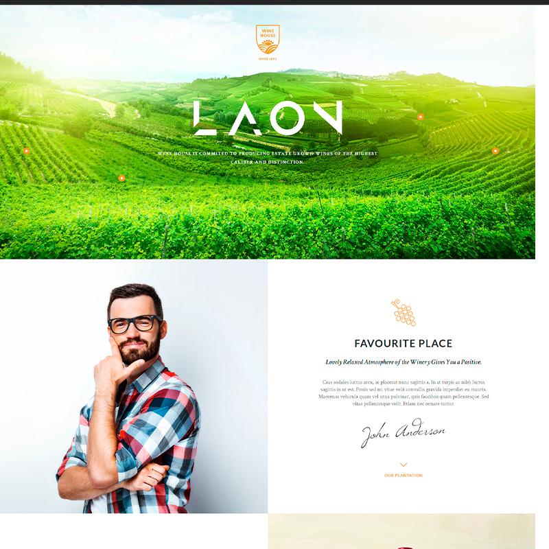 plantilla WordPress para bodegas