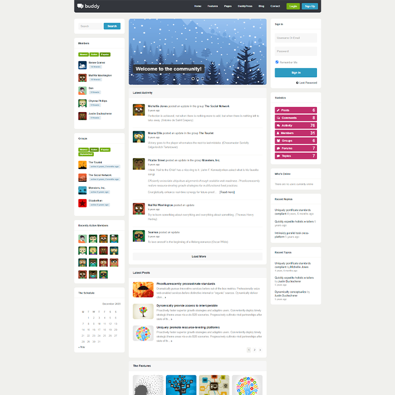 WordPress Theme Buddy BuddyPress